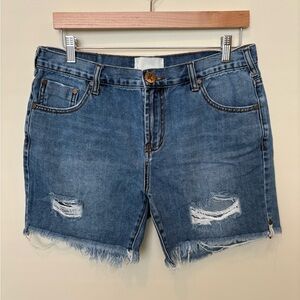 One Teaspoon Stevies Jean Shorts
